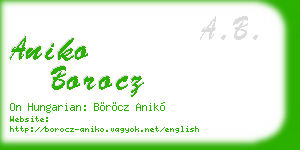 aniko borocz business card